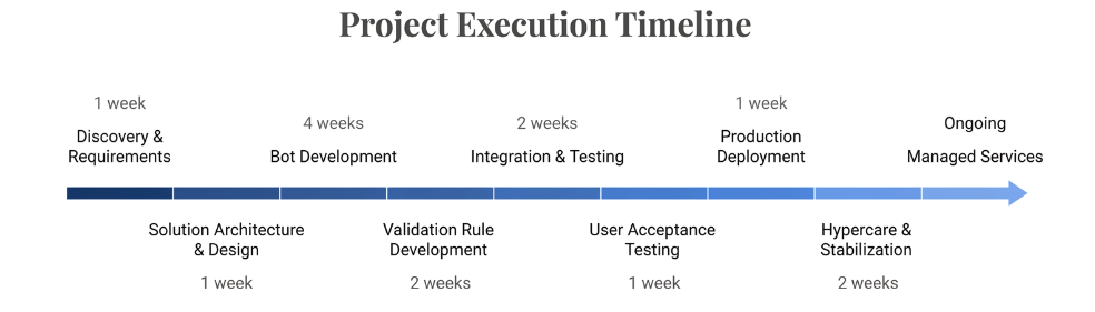 Project Execution Timeline